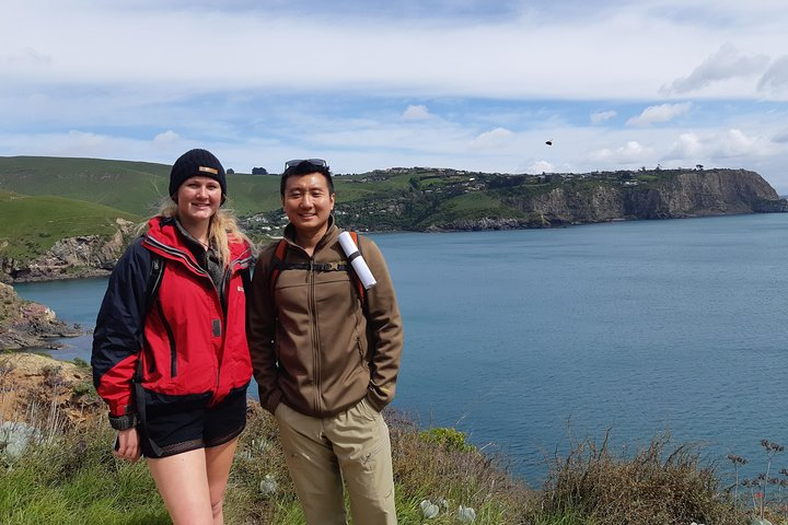 Looking back on Taylors Mistake beach.